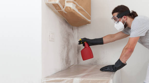 Professional Mold Cleanup technician working in Great River, NY
